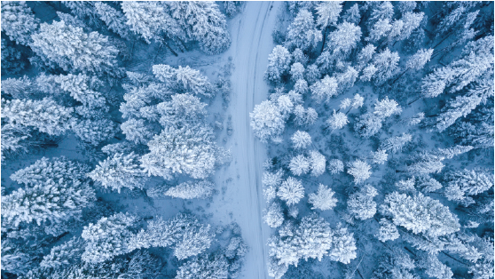 Aerial view of a road cutting through frosted evergreen trees