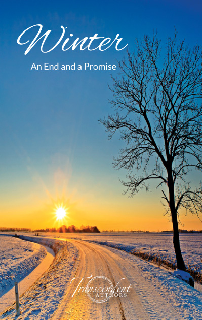 Winter - An End a a Promise book cover featuring a snow covered field with a road curving into the distance towards the sunrise