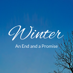 Blue winter sky with the book title Winter - An End and a Promise in white